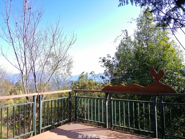 IMG_20210116_095951.jpg IMG_20210116_095951.jpg