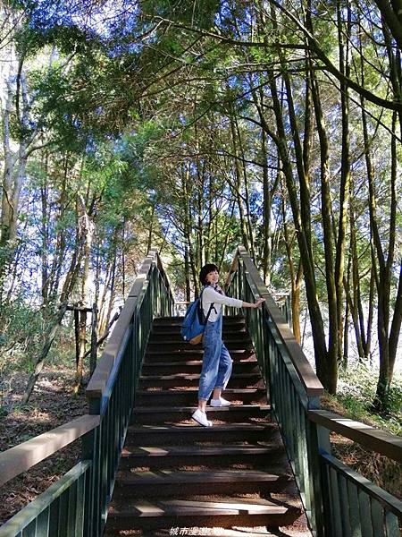 IMG_20210116_095759.jpg IMG_20210116_095759.jpg