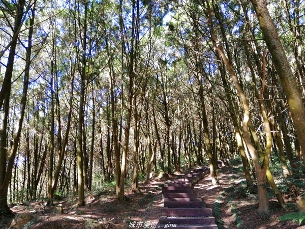 IMG_20210116_100459.jpg IMG_20210116_100459.jpg