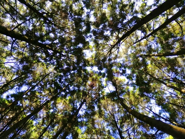 IMG_20210116_100753.jpg IMG_20210116_100753.jpg