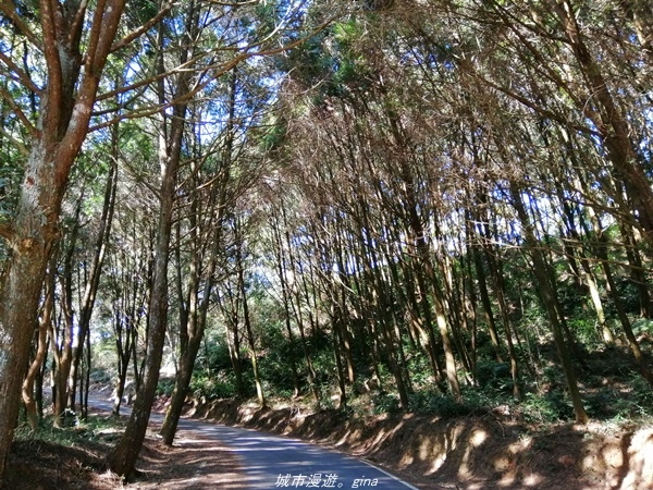 IMG_20210116_101211.jpg IMG_20210116_101211.jpg