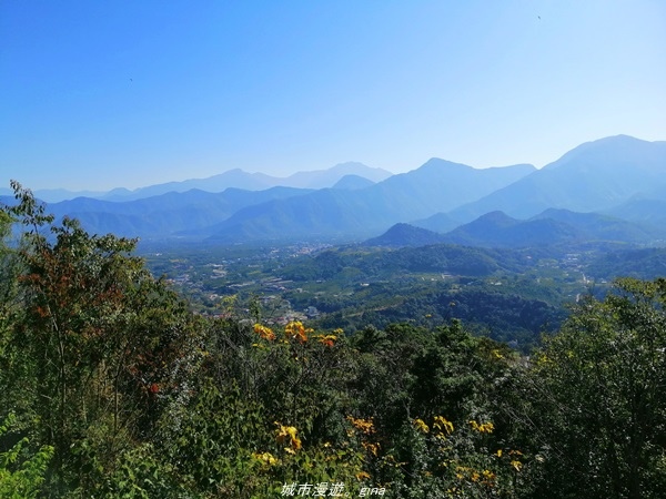 IMG_20210116_102331.jpg IMG_20210116_102331.jpg