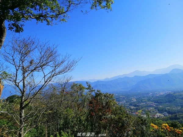 IMG_20210116_102335.jpg IMG_20210116_102335.jpg