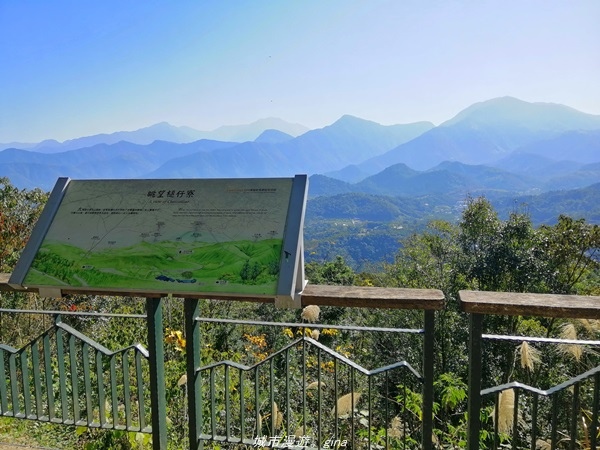 IMG_20210116_102143.jpg IMG_20210116_102143.jpg