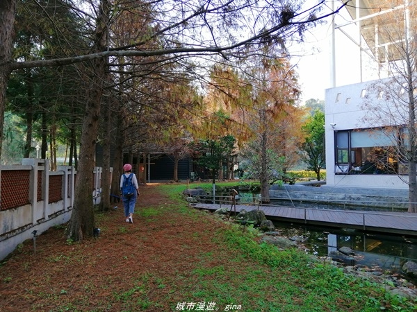 【南投埔里】悠閒下午茶超好拍的景觀庭園。 Buggy蟲子咖啡