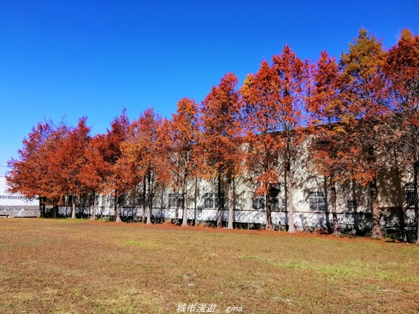 IMG_20210123_104629.jpg IMG_20210123_104629.jpg