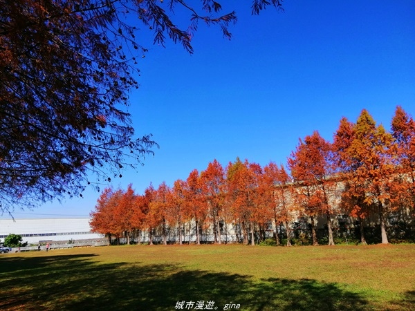 IMG_20210123_104742.jpg IMG_20210123_104742.jpg