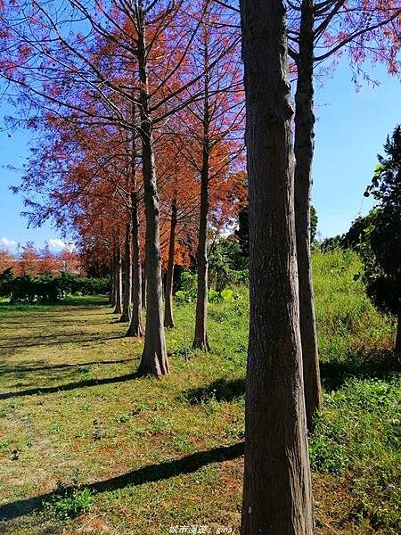 IMG_20210123_104804.jpg IMG_20210123_104804.jpg