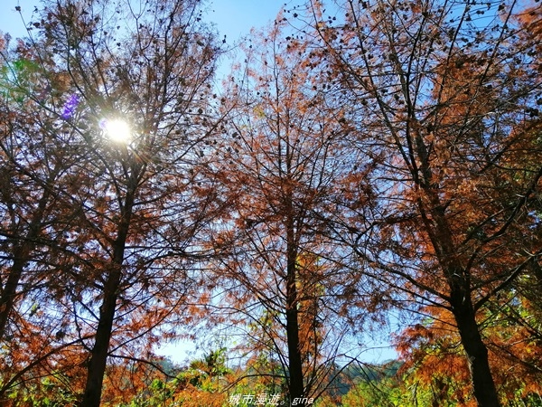 IMG_20210123_105326.jpg IMG_20210123_105326.jpg