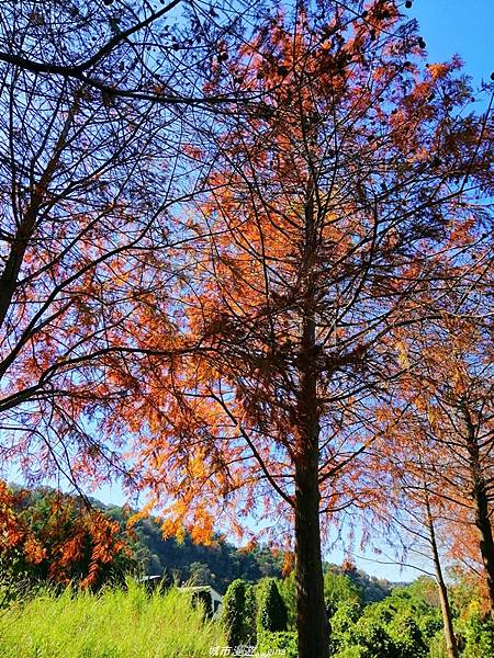 IMG_20210123_105204.jpg IMG_20210123_105204.jpg