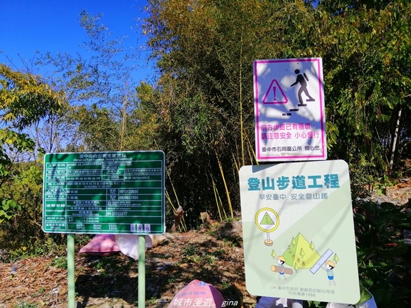 【台中石岡】漸層落羽松~繽紛山行路。 挑物古道x五福臨門步道