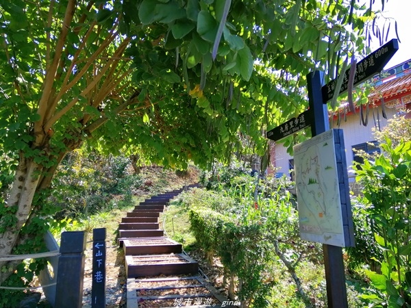 【台中石岡】漸層落羽松~繽紛山行路。 挑物古道x五福臨門步道