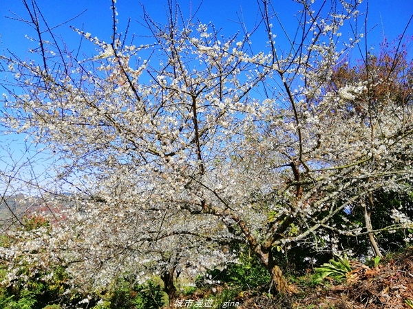 IMG_20210123_112150.jpg IMG_20210123_112150.jpg