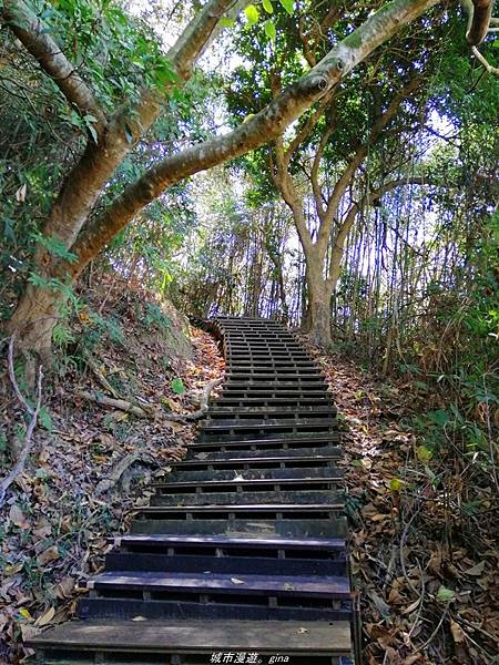 IMG_20210123_112312.jpg IMG_20210123_112312.jpg