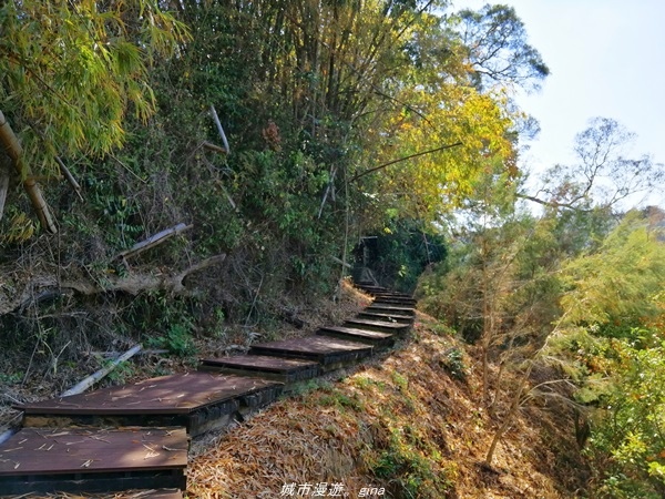 IMG_20210123_112602.jpg IMG_20210123_112602.jpg