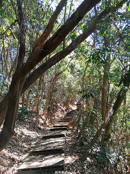 IMG_20210123_112451.jpg IMG_20210123_112451.jpg