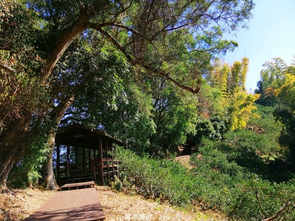 IMG_20210123_112911.jpg IMG_20210123_112911.jpg