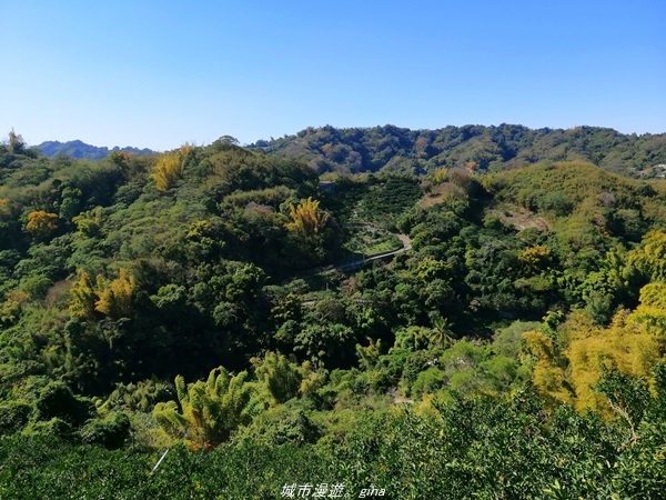 IMG_20210123_114056.jpg IMG_20210123_114056.jpg