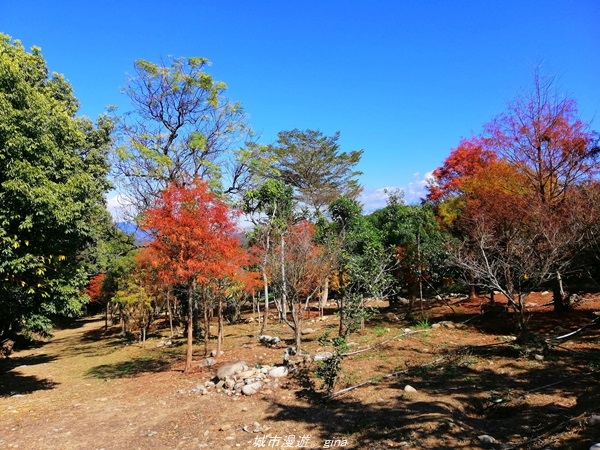 IMG_20210123_114613.jpg IMG_20210123_114613.jpg