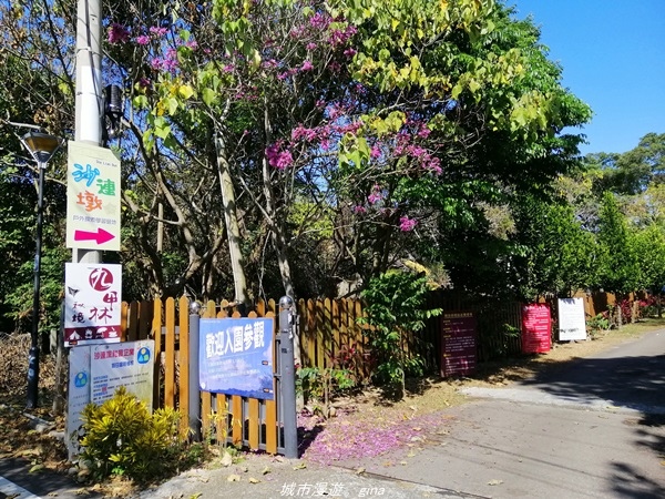 IMG_20210123_122322.jpg IMG_20210123_122322.jpg