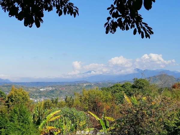 IMG_20210123_120109.jpg IMG_20210123_120109.jpg