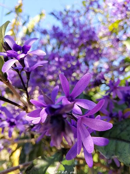 IMG_20210123_122604.jpg IMG_20210123_122604.jpg