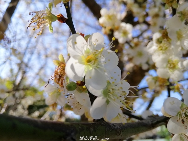 IMG_20210123_122834.jpg IMG_20210123_122834.jpg