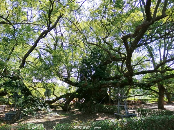 IMG_20210123_123619.jpg IMG_20210123_123619.jpg