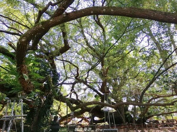 IMG_20210123_123333.jpg IMG_20210123_123333.jpg