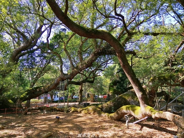 IMG_20210123_123844.jpg IMG_20210123_123844.jpg