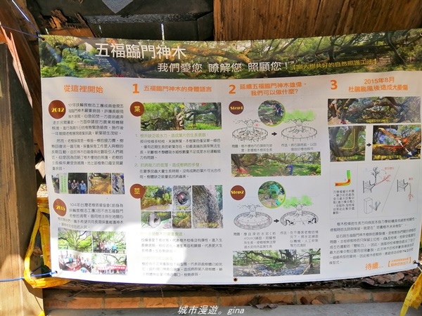 IMG_20210123_123943.jpg IMG_20210123_123943.jpg