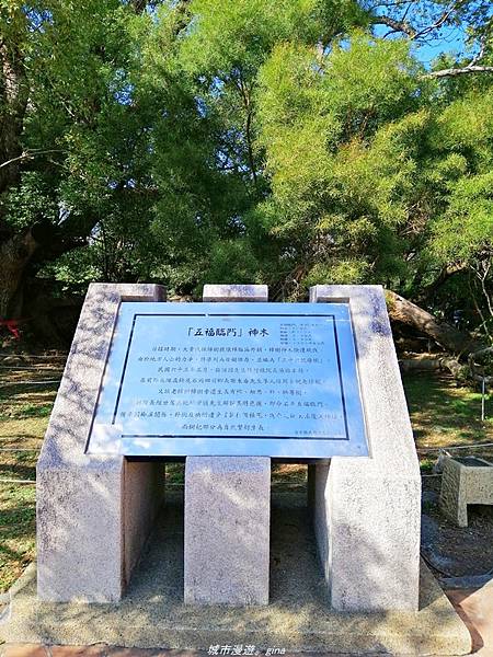 【台中石岡】漸層落羽松~繽紛山行路。 挑物古道x五福臨門步道