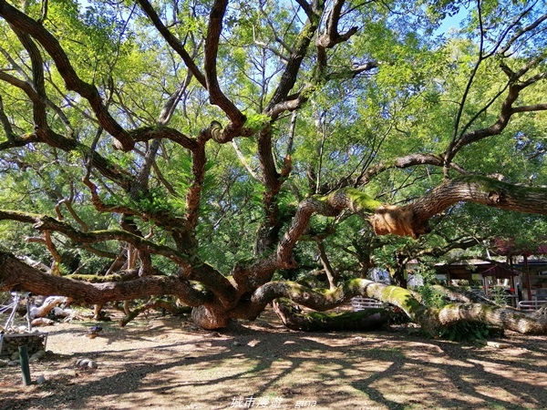 IMG_20210123_142036.jpg IMG_20210123_142036.jpg