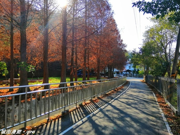 【台中石岡】繽紛山行路太忘憂。 五福臨門休閒登山步道x九房里