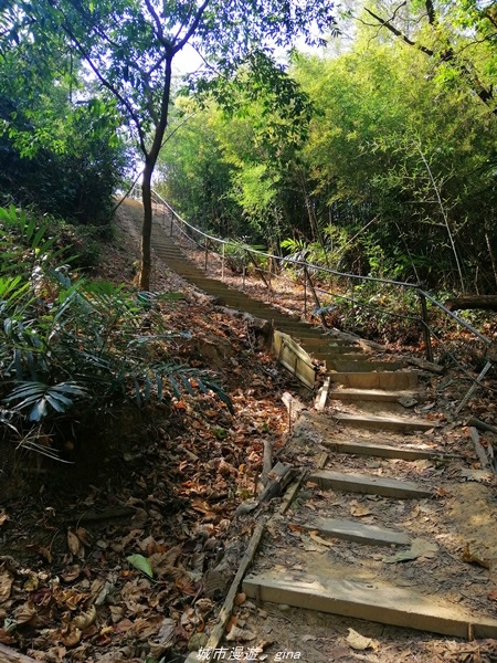 IMG_20210130_114203.jpg IMG_20210130_114203.jpg