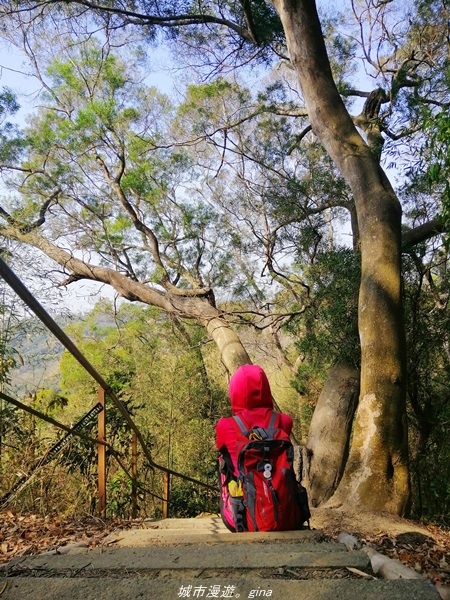 IMG_20210130_114205.jpg IMG_20210130_114205.jpg