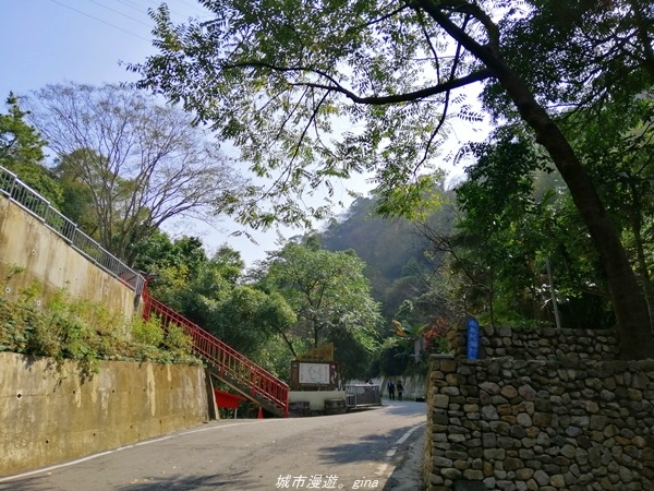 IMG_20210130_114625.jpg IMG_20210130_114625.jpg