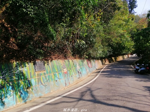 IMG_20210130_114441.jpg IMG_20210130_114441.jpg