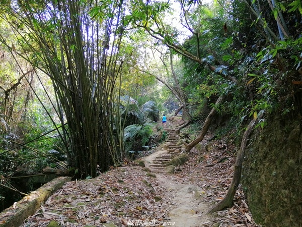 IMG_20210130_115616.jpg IMG_20210130_115616.jpg