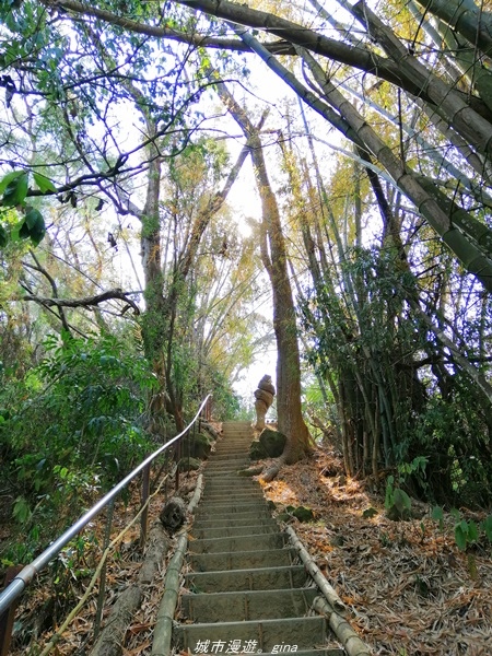 IMG_20210130_120125.jpg IMG_20210130_120125.jpg