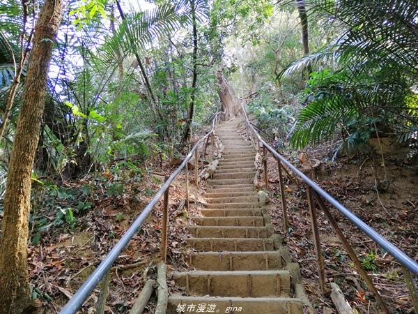 IMG_20210130_115845.jpg IMG_20210130_115845.jpg