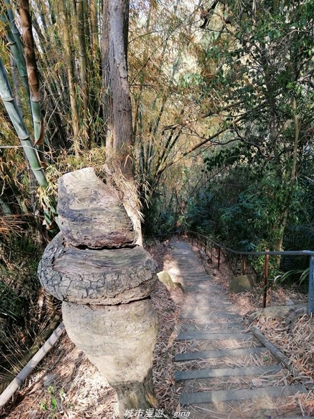 IMG_20210130_120222.jpg IMG_20210130_120222.jpg