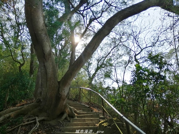 IMG_20210130_120706.jpg IMG_20210130_120706.jpg