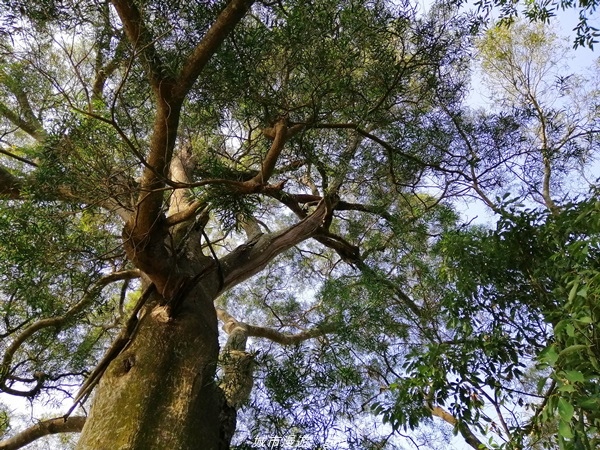 IMG_20210130_121222.jpg IMG_20210130_121222.jpg