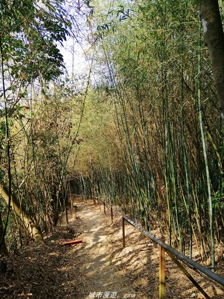 IMG_20210130_121459.jpg IMG_20210130_121459.jpg