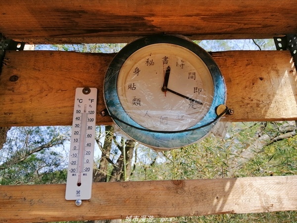 IMG_20210130_121820.jpg IMG_20210130_121820.jpg