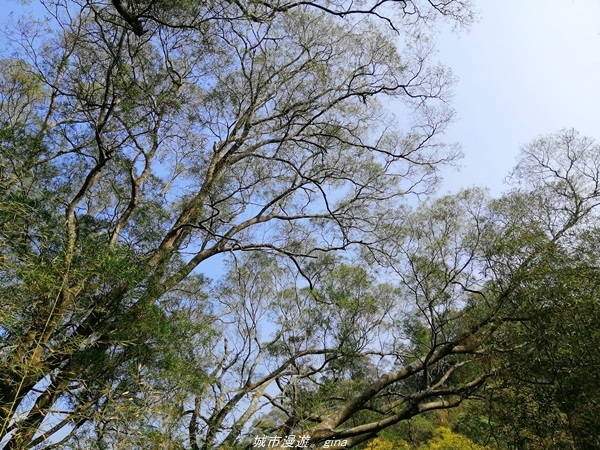 IMG_20210130_121827.jpg IMG_20210130_121827.jpg