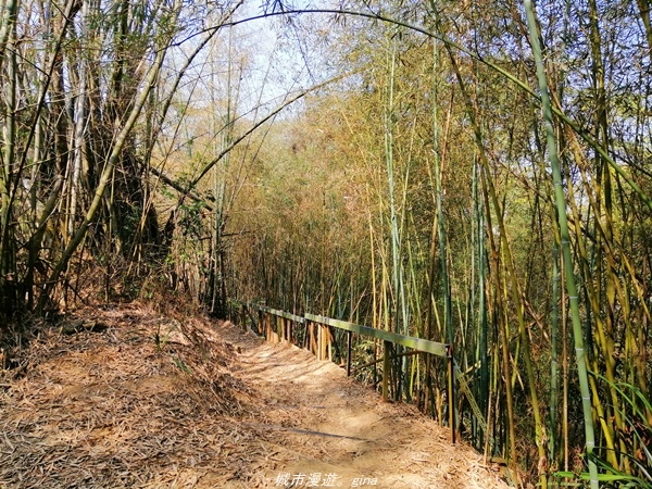 IMG_20210130_121651.jpg IMG_20210130_121651.jpg