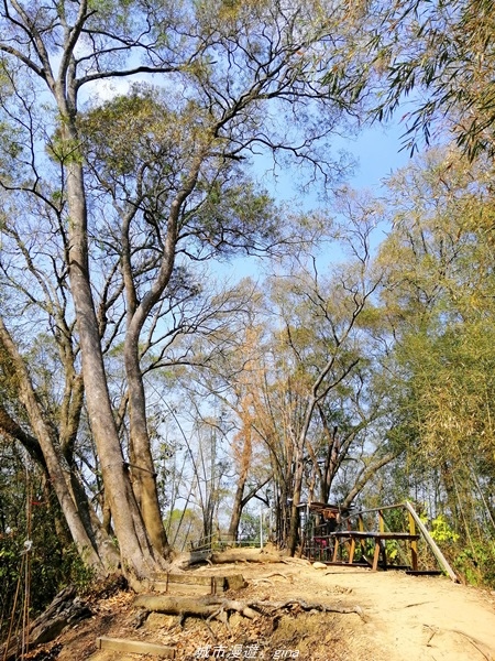 IMG_20210130_121742.jpg IMG_20210130_121742.jpg