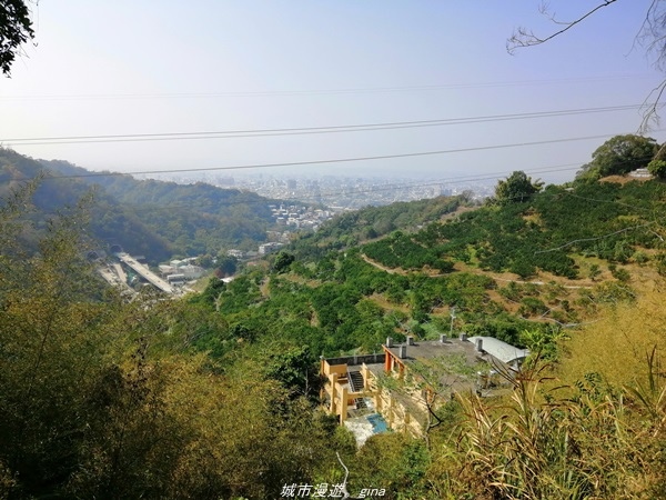 IMG_20210130_123525.jpg IMG_20210130_123525.jpg